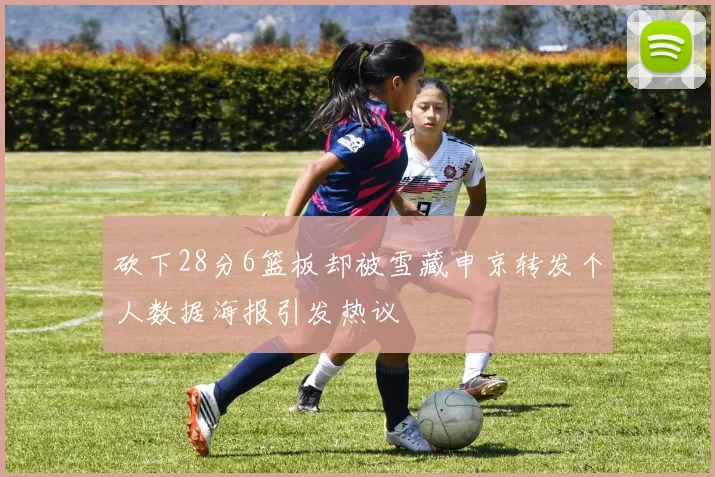 砍下28分6篮板却被雪藏申京转发个人数据海报引发热议