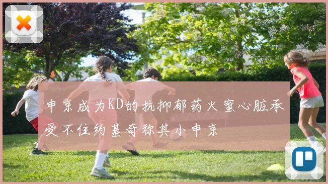 申京成为KD的抗抑郁药火蜜心脏承受不住约基奇称其小申京