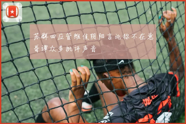 苏群回应管维佳阴阳言论称不在意哥谭众多批评声音