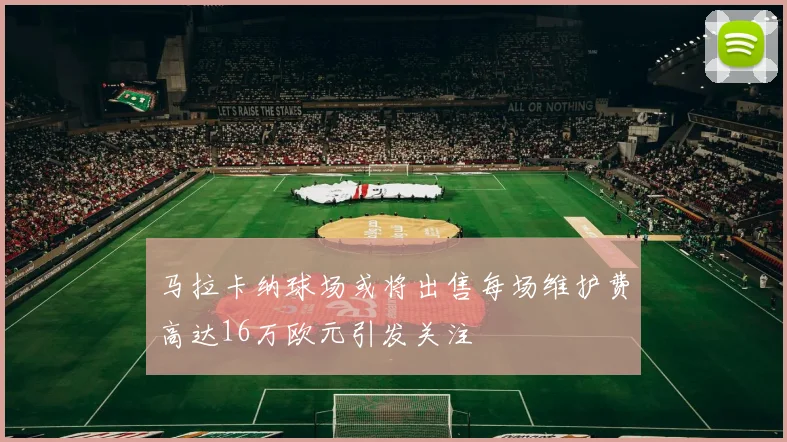 马拉卡纳球场或将出售每场维护费高达16万欧元引发关注