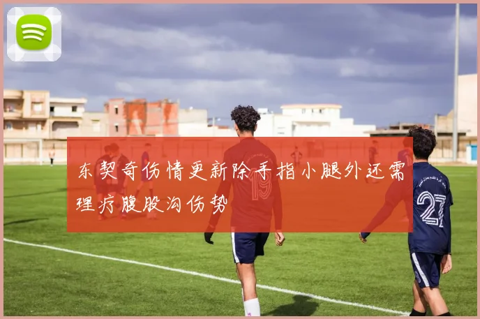 东契奇伤情更新除手指小腿外还需理疗腹股沟伤势