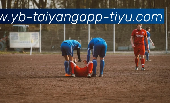 太阳城平台生态图