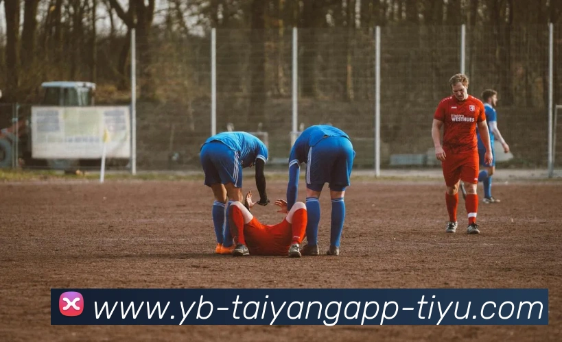 太阳城APP 封面图